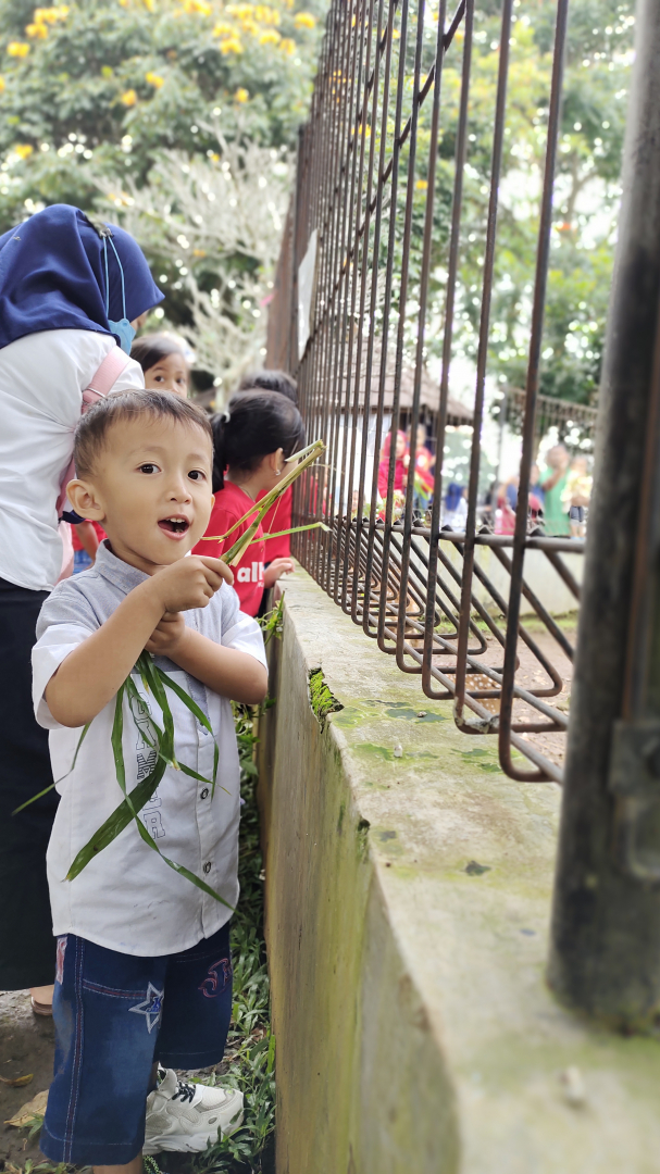 https://Raffasya21.khitanan.id/dirmember/00000001/Mardea100389/photo-4456-3417-l-202212130341.jpg